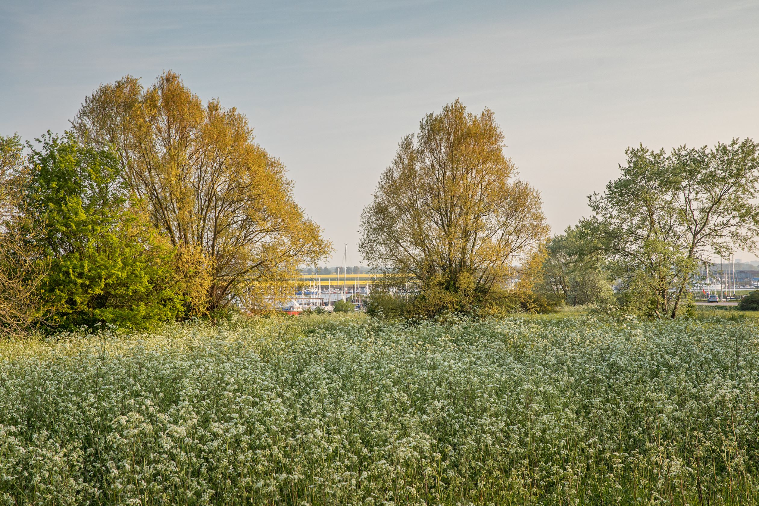 Pavilion Gardens New Homes in Southport David Wilson Homes