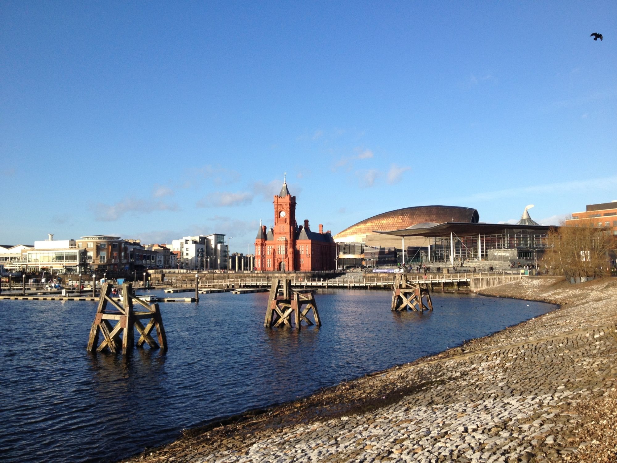 Goitre Fach New Homes In Cardiff Cardiff David Wilson Homes