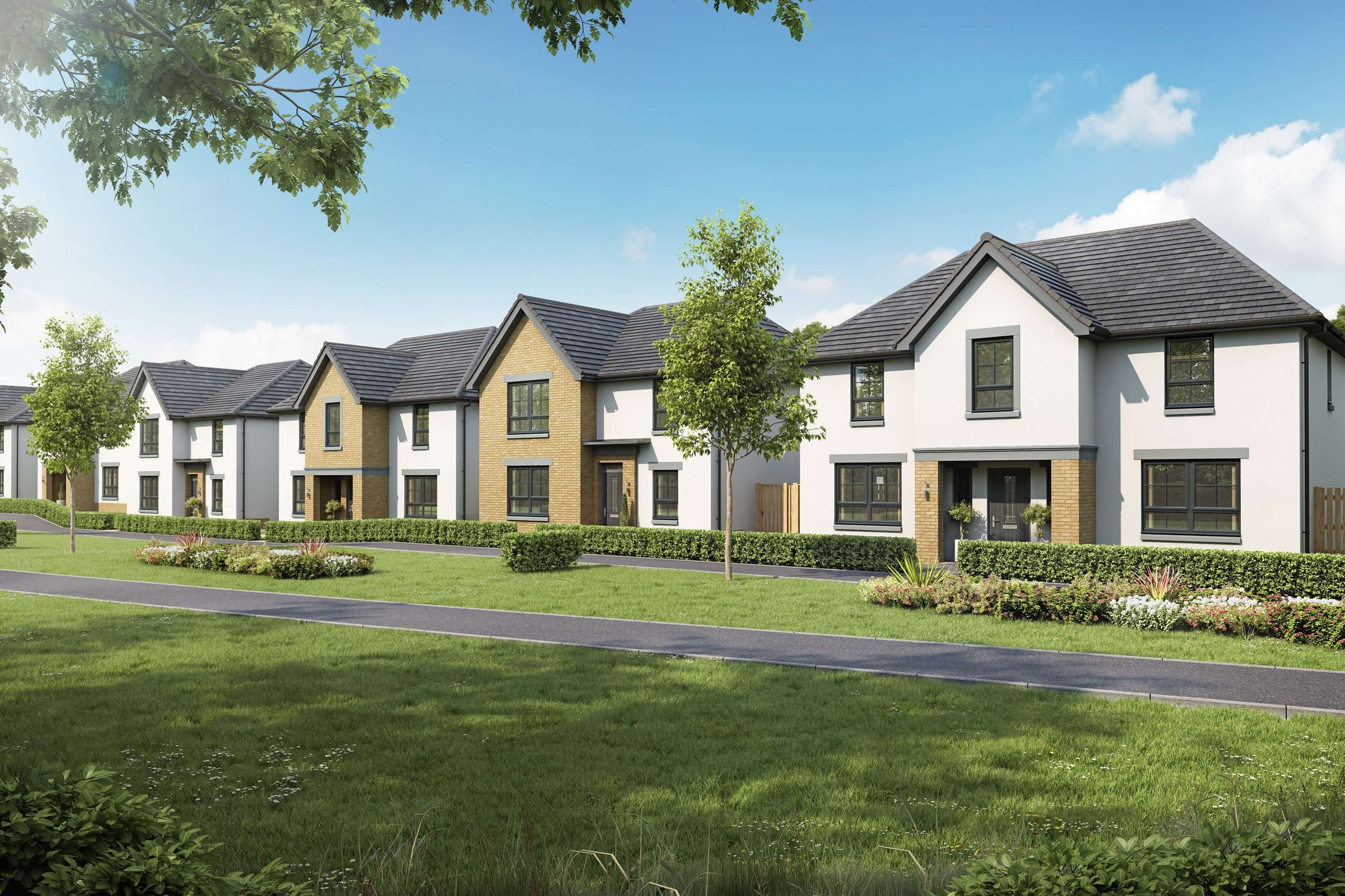 New Homes for sale in Arbroath David Wilson Homes