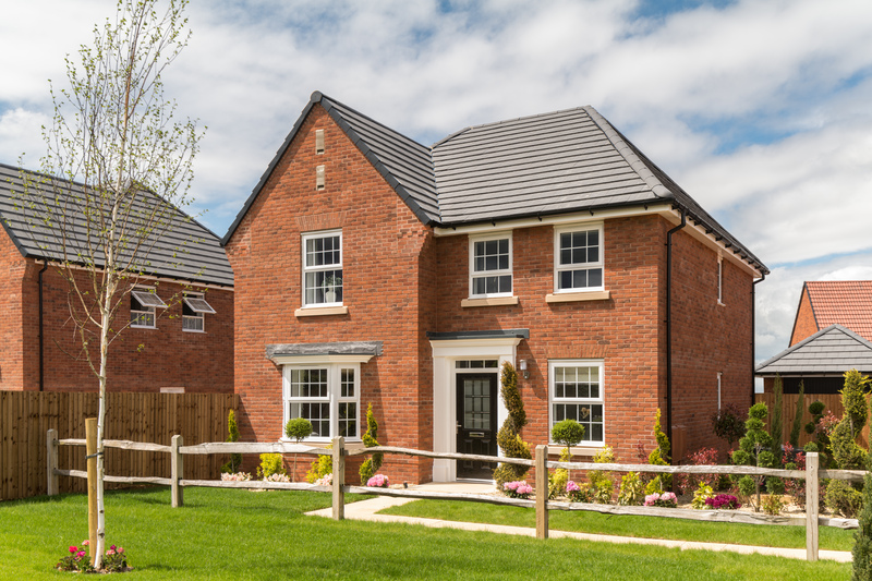 Nant Y Castell, HOLDEN, 126 David Wilson Homes