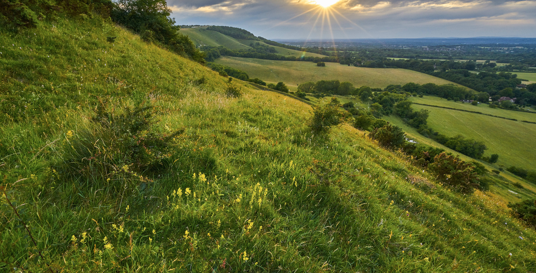 New Homes for Sale in Clayton DWH