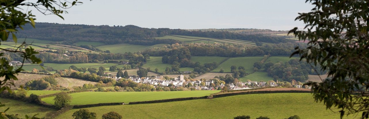 New Homes In Horley David Wilson Homes