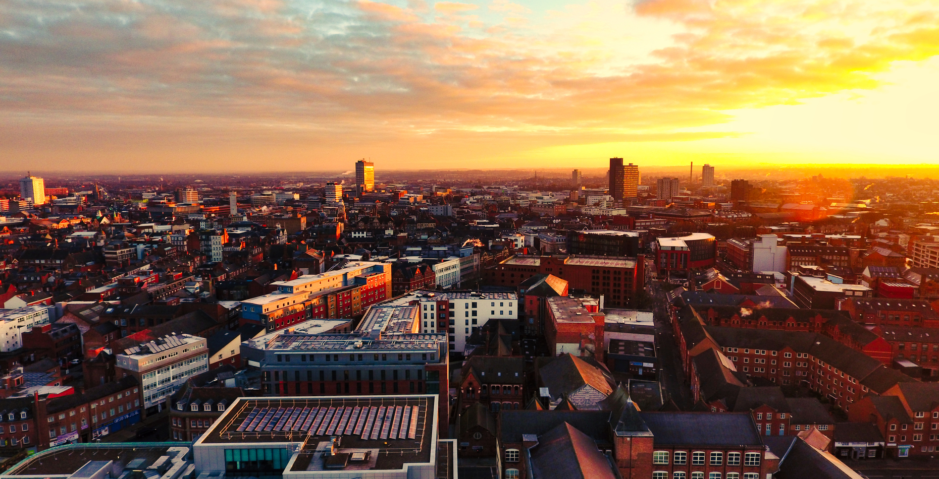 New Homes For Sale In Leicester David Wilson Homes