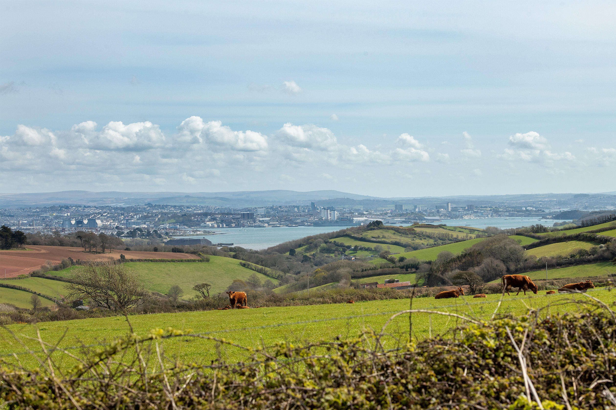 Image of surrounding countryside