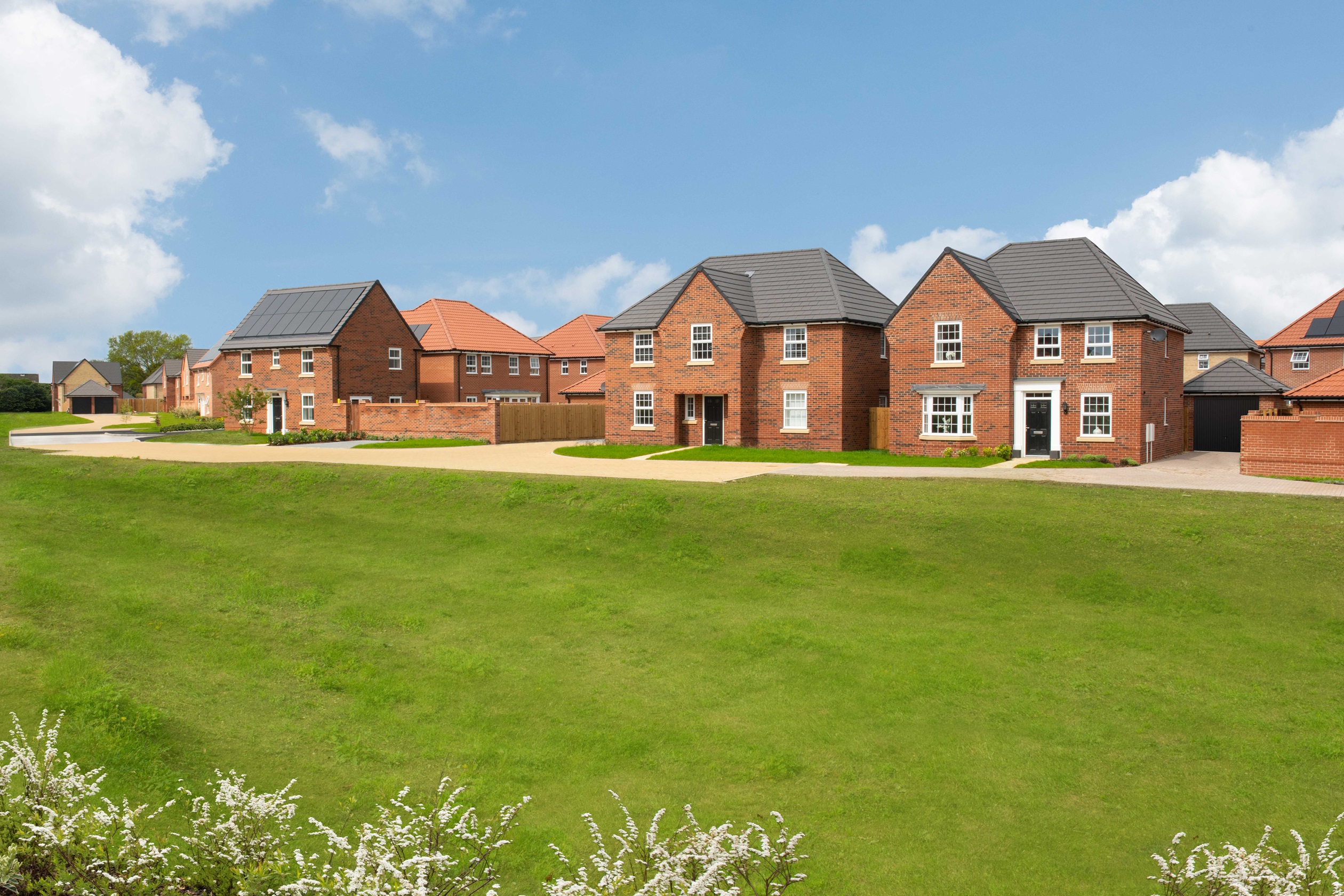 Kingfisher Meadow Street Scene