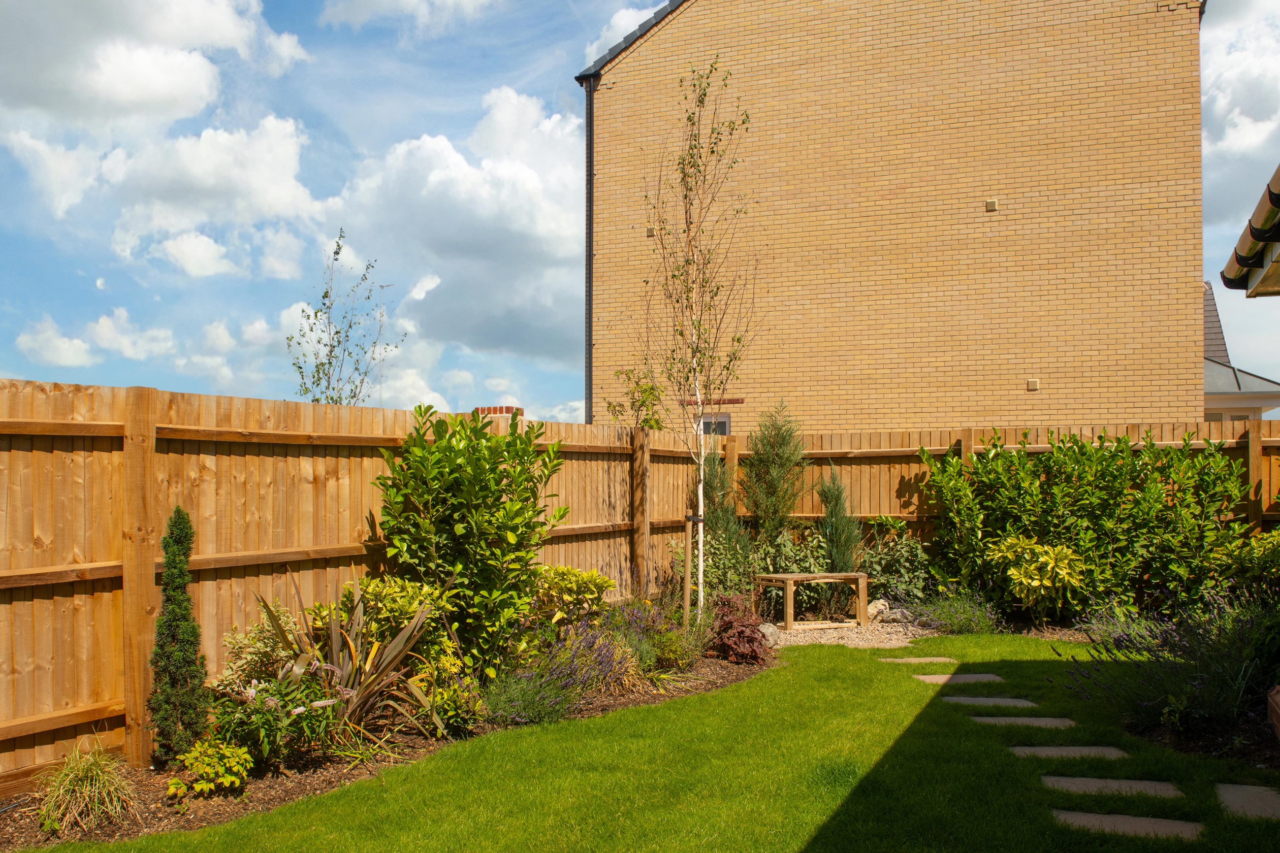 Peacock Grove Cannington Rear Garden