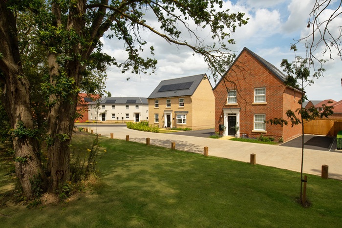 Woodland Heath