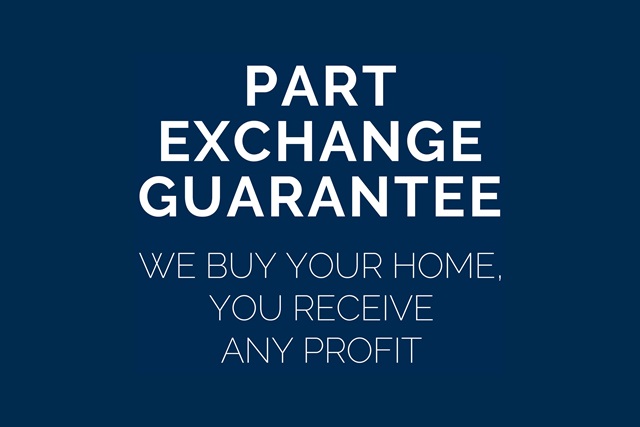 DWH PXG web offer box