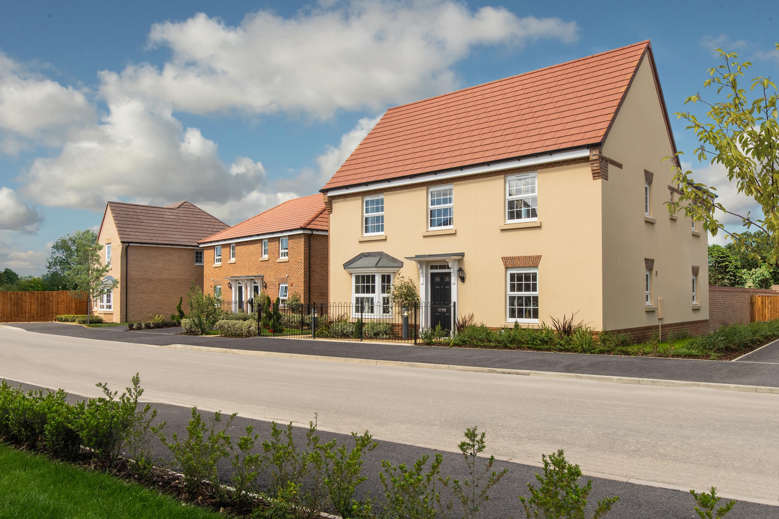 TUDOR MEADOW IN SAWSTON