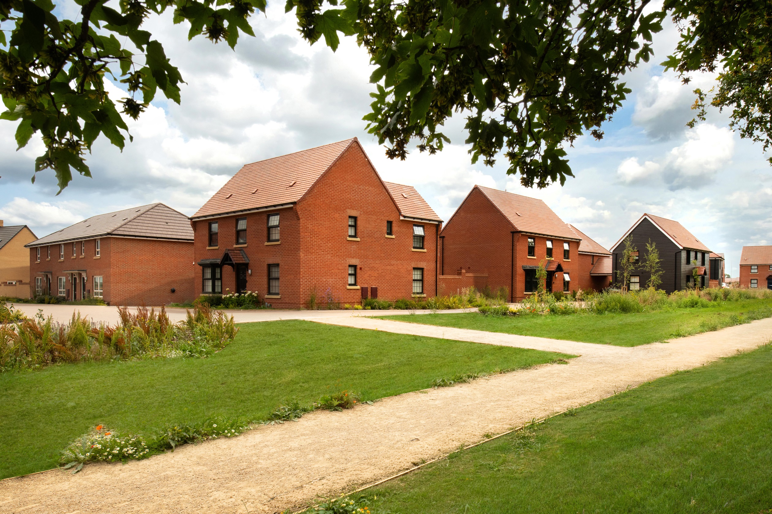 homes overlooking country park