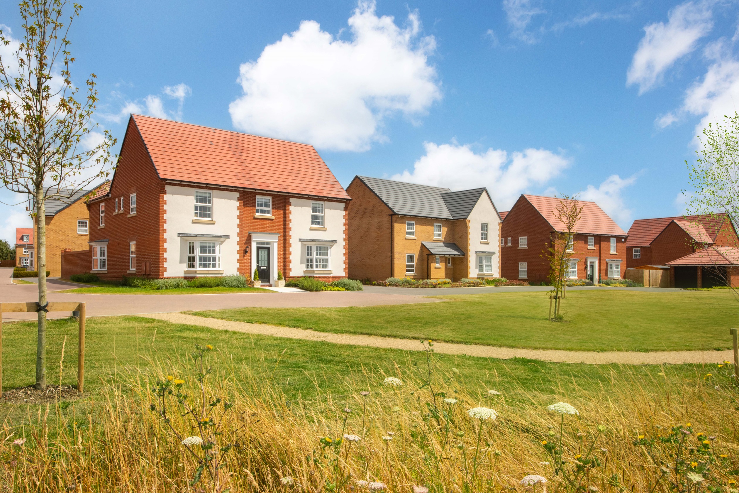 HighElmsPark_Newton_Bullwood