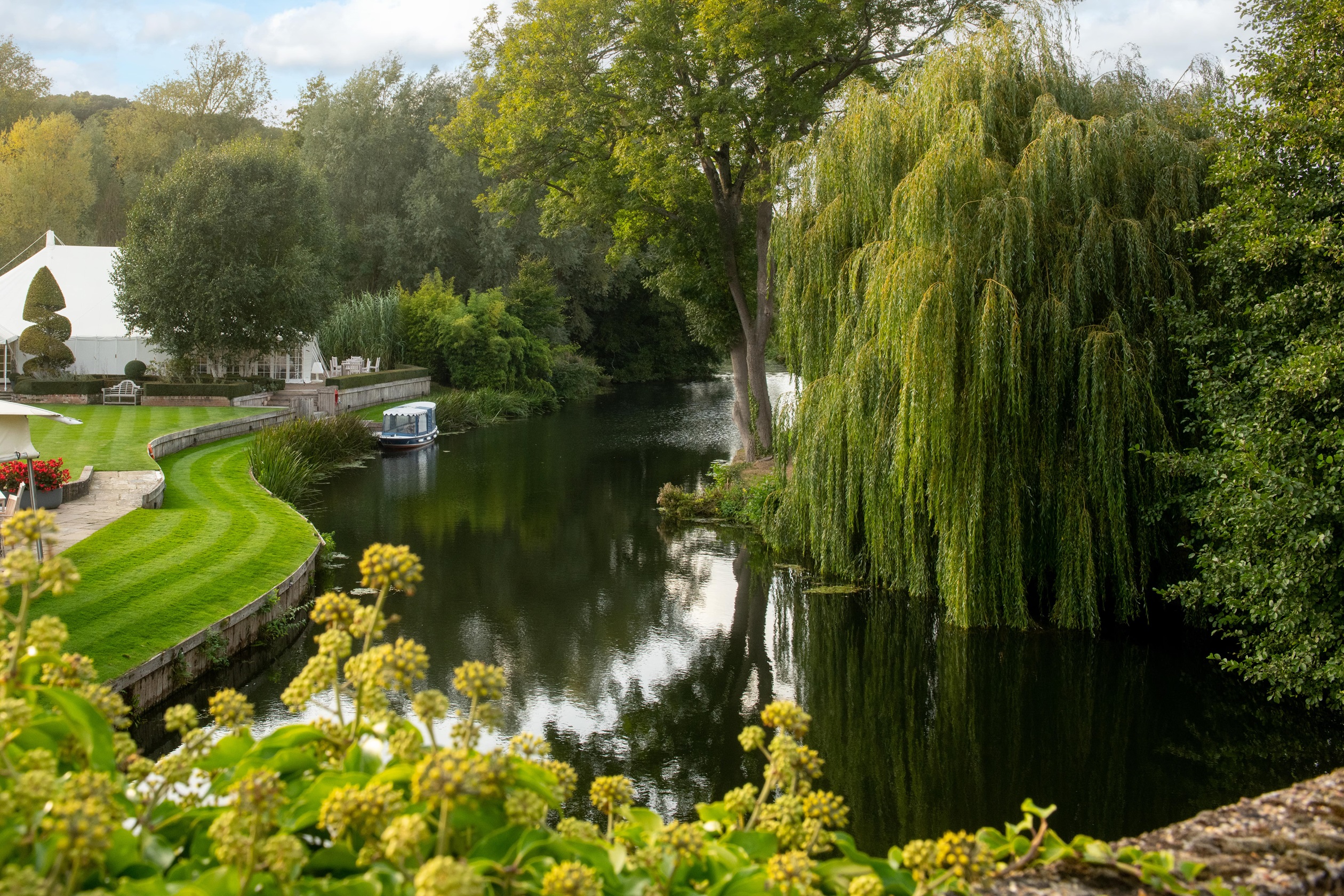 DWH_Languard_View_Local_Area