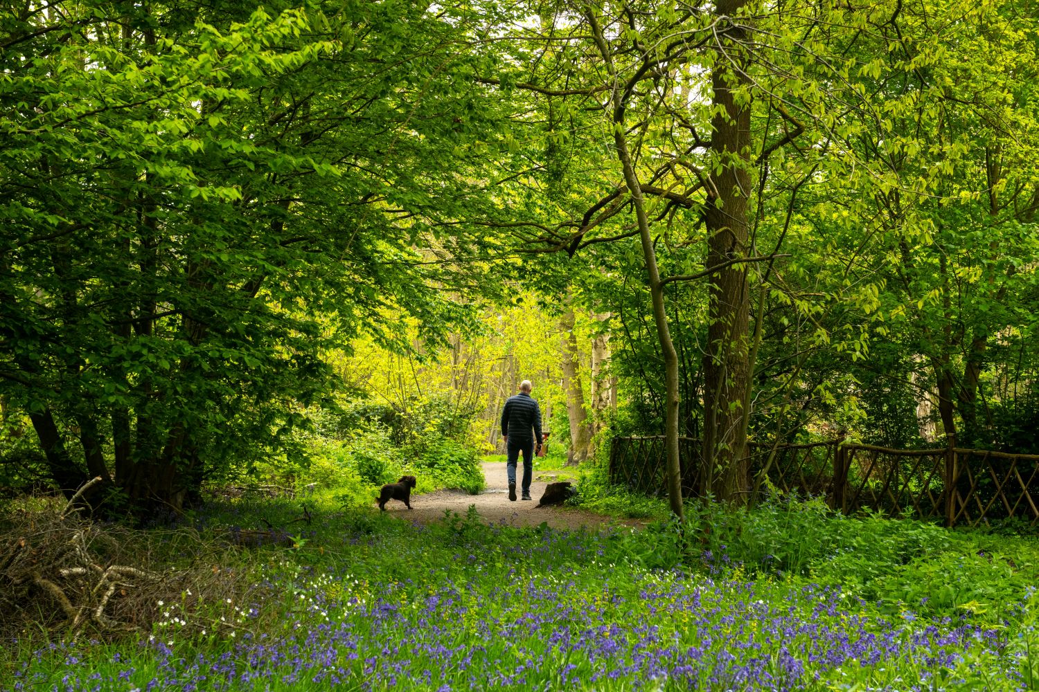 NORSEY WOOD - BILLERICAY