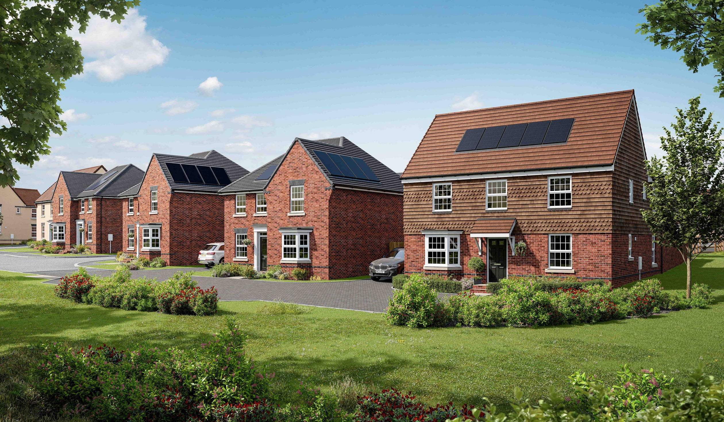 Cuckoo Fields street scene