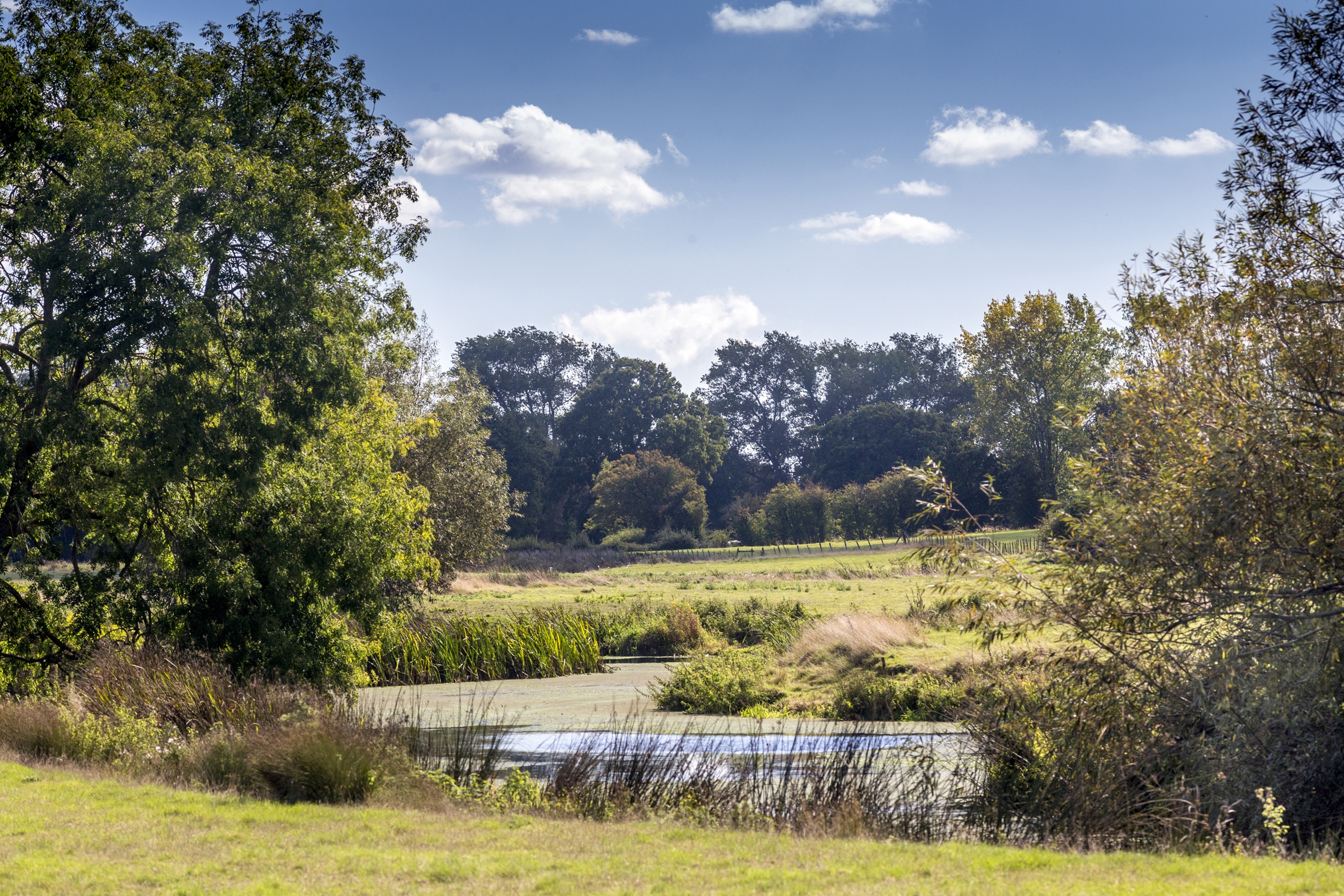 Dickens Gate I New Homes I Staplehurst I David Wilson Homes