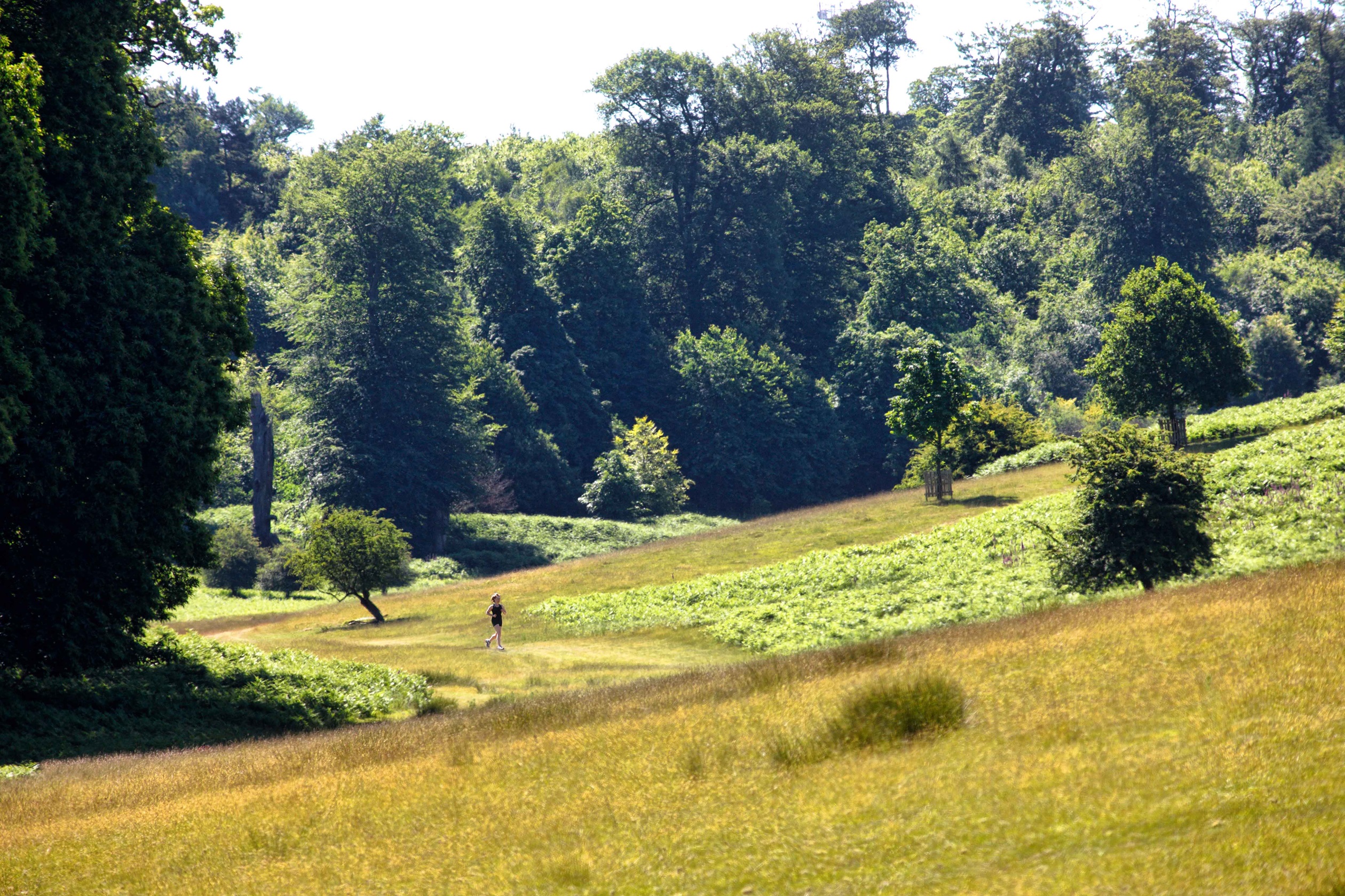 Green space in local area