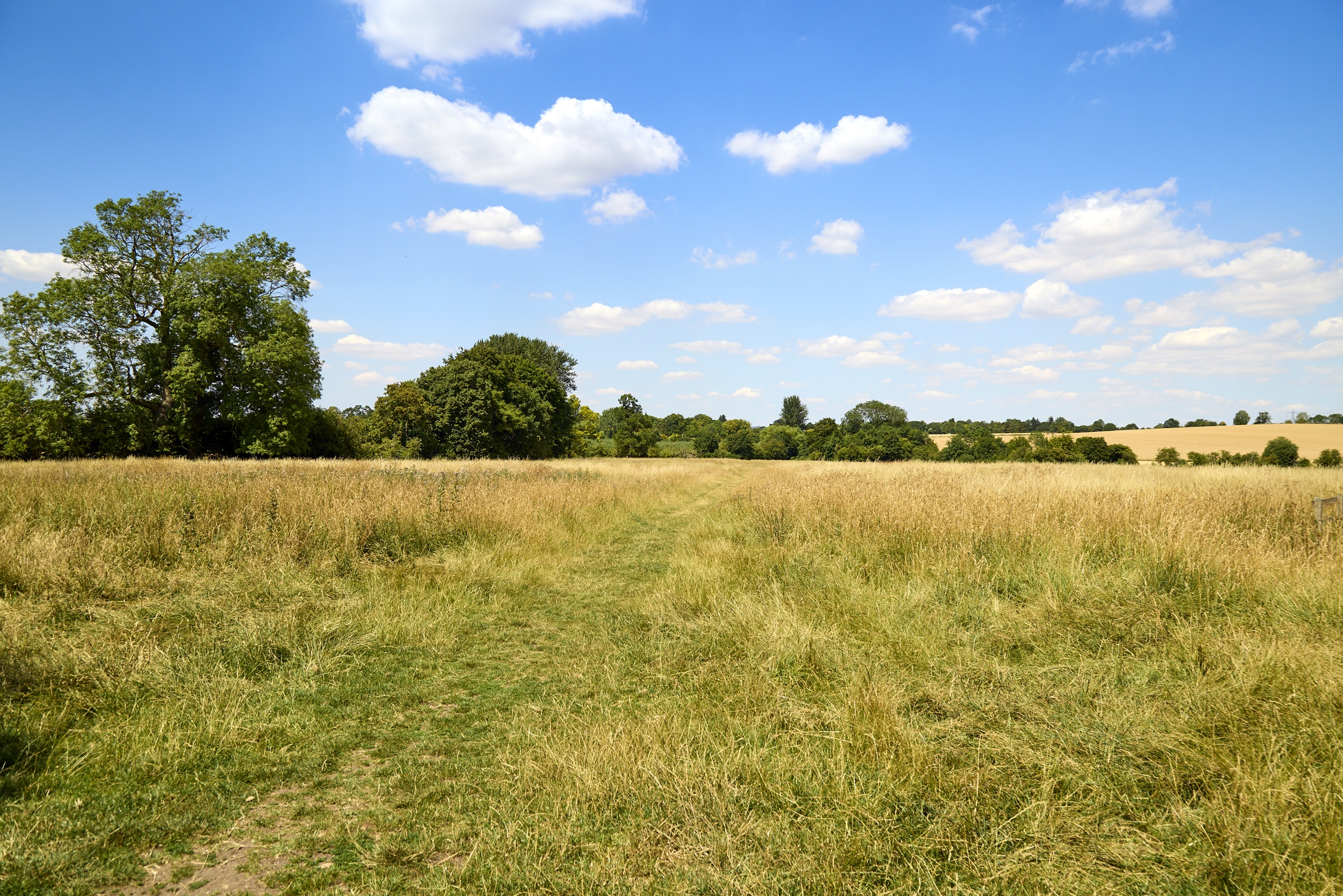 DW NT LOCAL WALKING ROUTES 