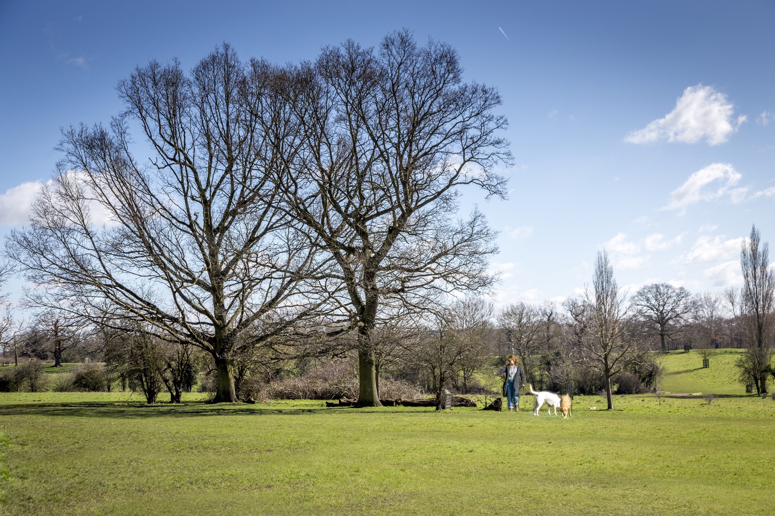 Sawbridgeworth location