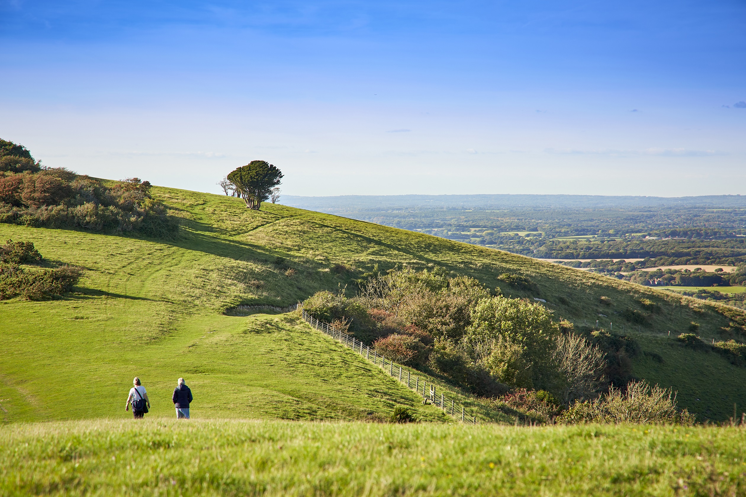 Walkers in the South Downs