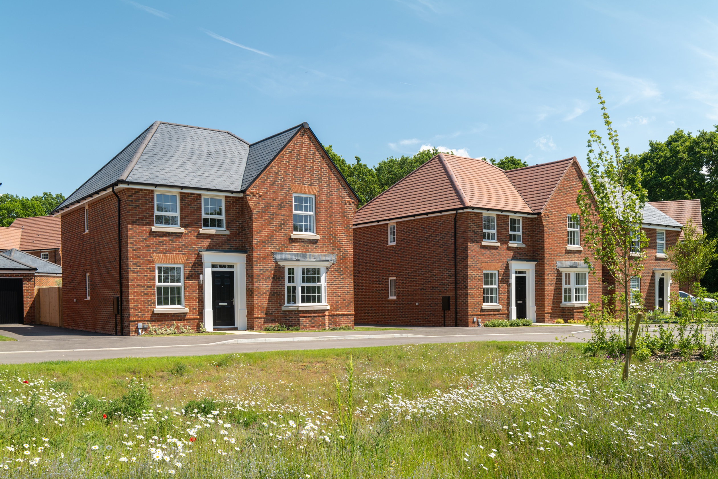 Outside view of the 4 bedroom Holden opposite green open space at Ersham Park June 2024