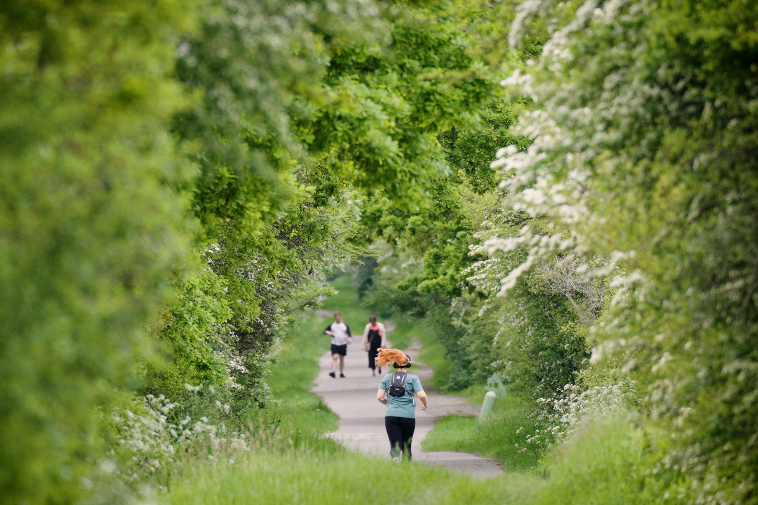 Runner at Cuckoo Trail