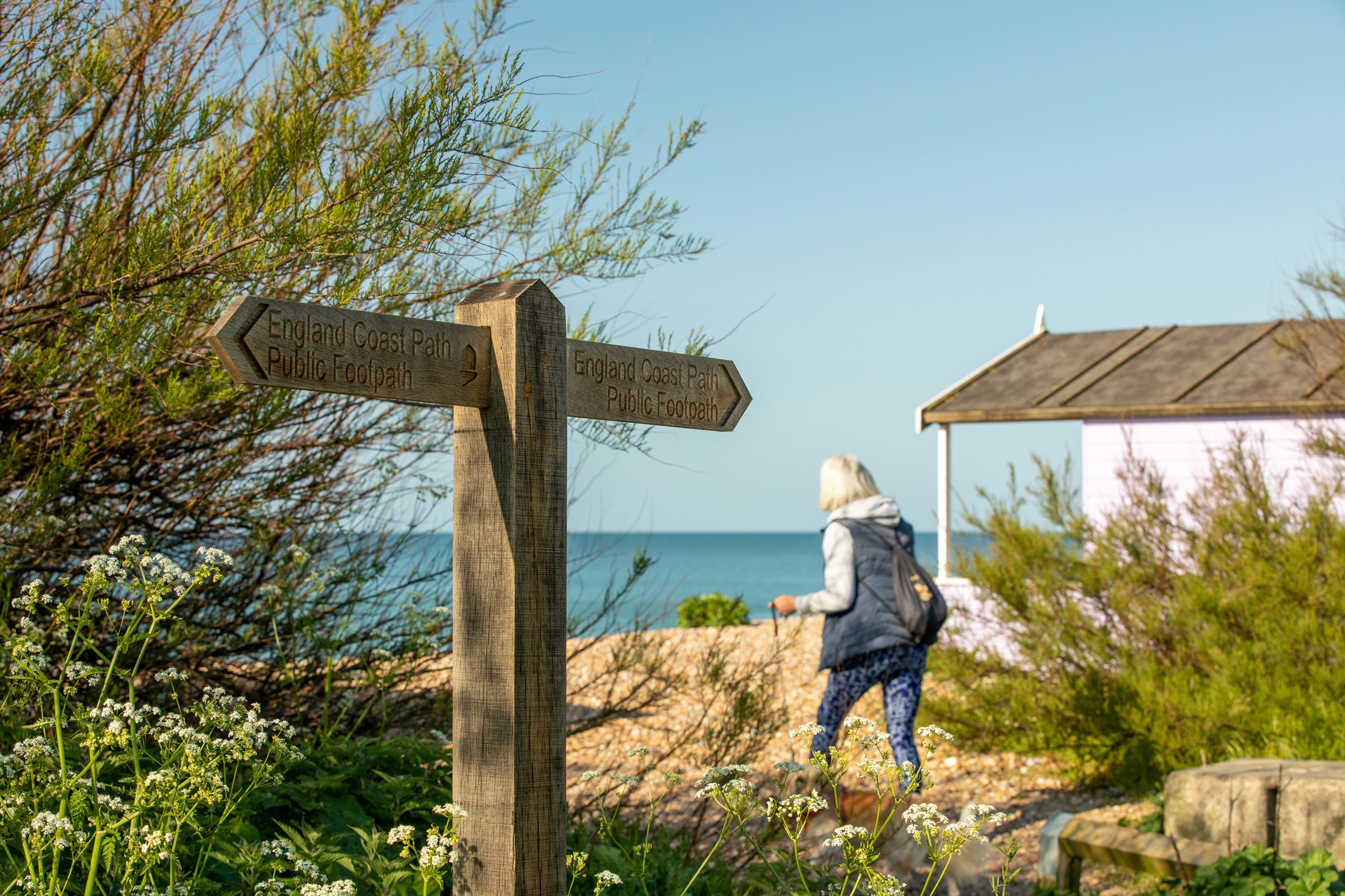 Dog walking on East Preston Beach