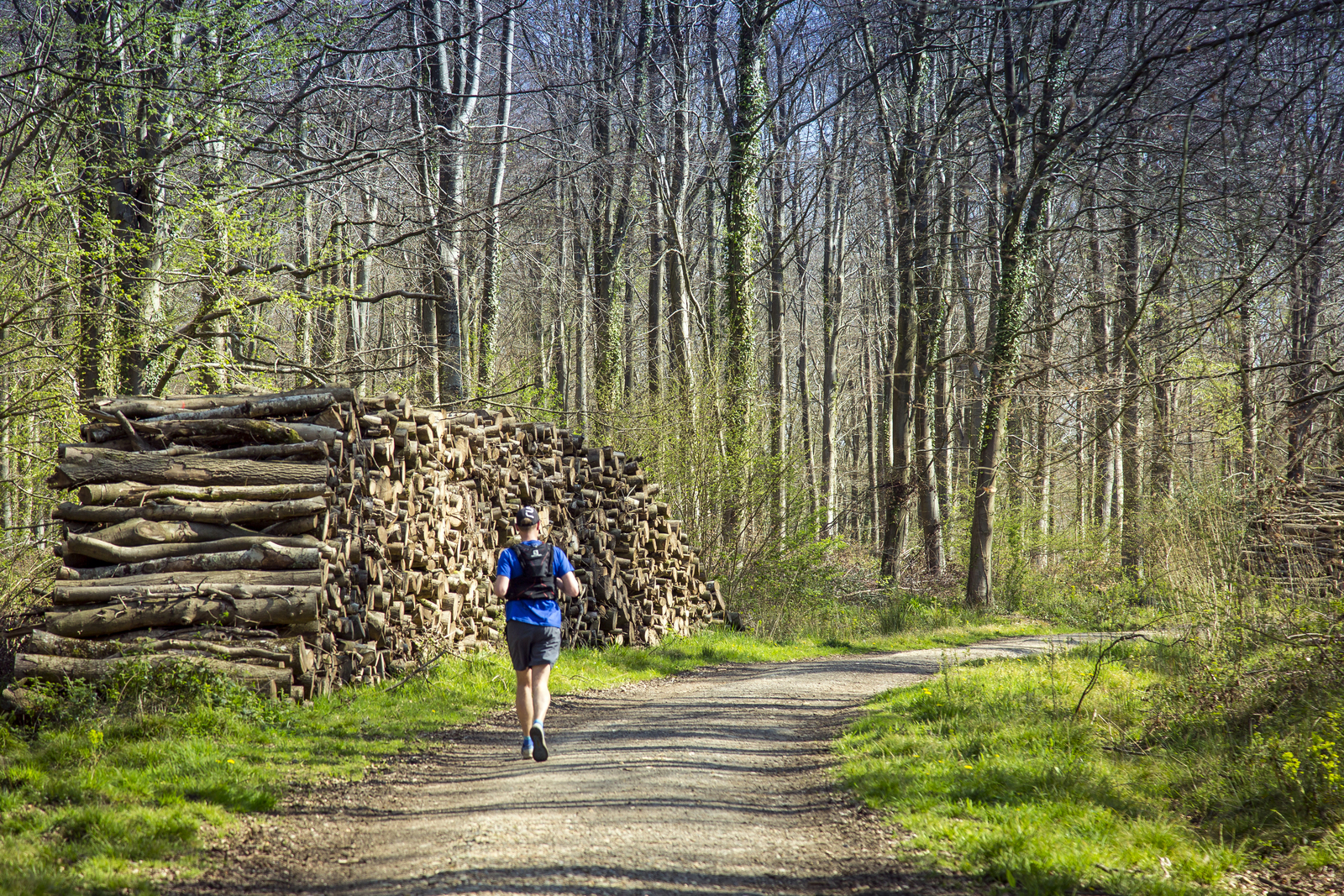 Runner in Angmering Park Estate woods