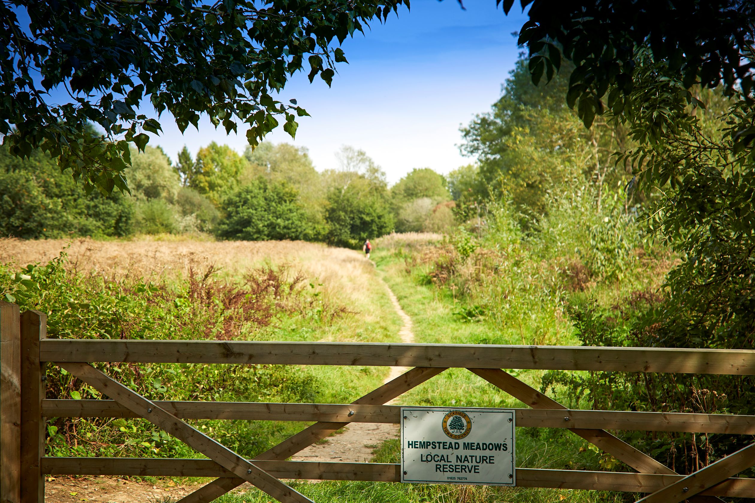 Hempstead Meadows near Uckfield