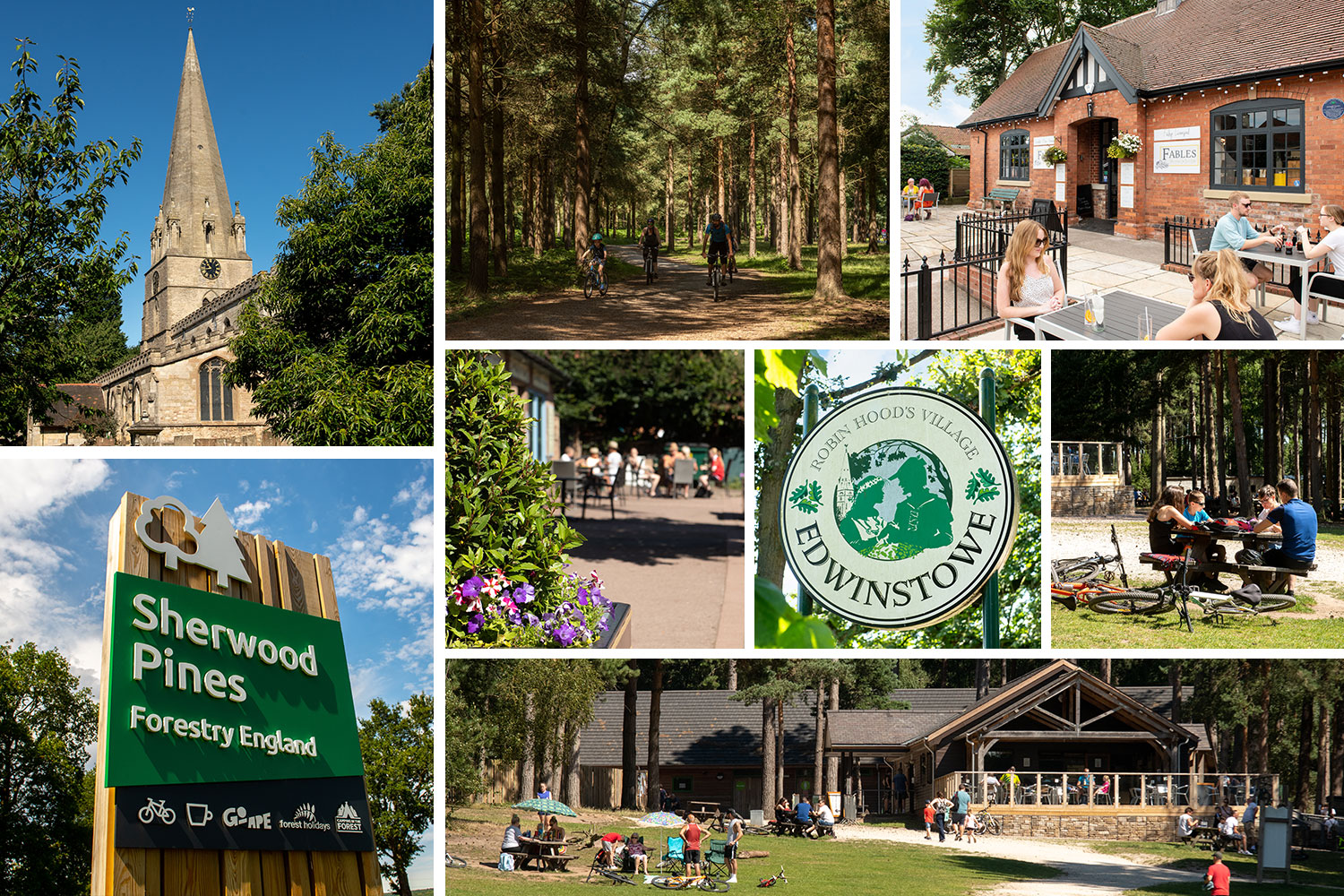 Collage of Edwinstowe local area