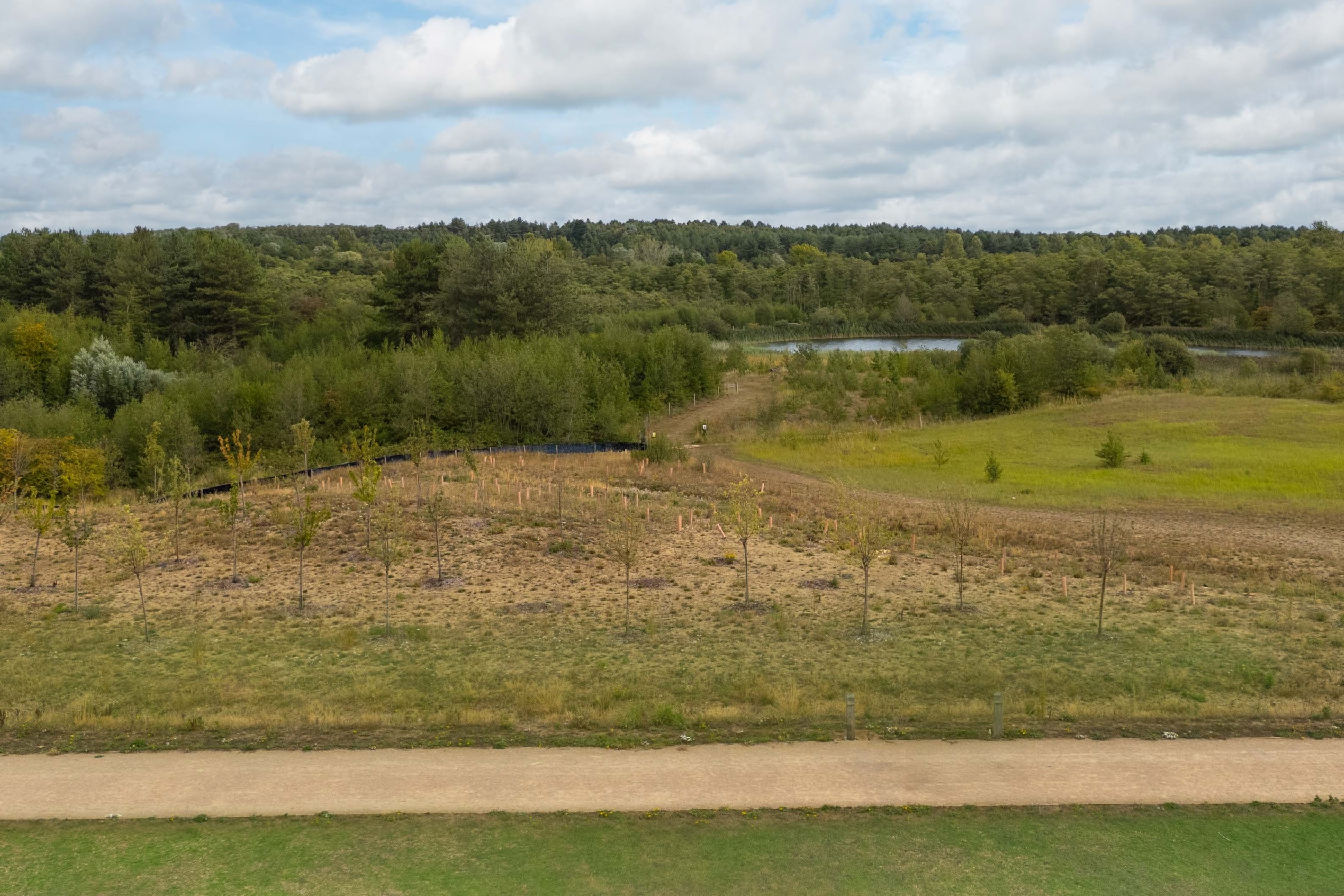 BAR NN PHP DWH drone