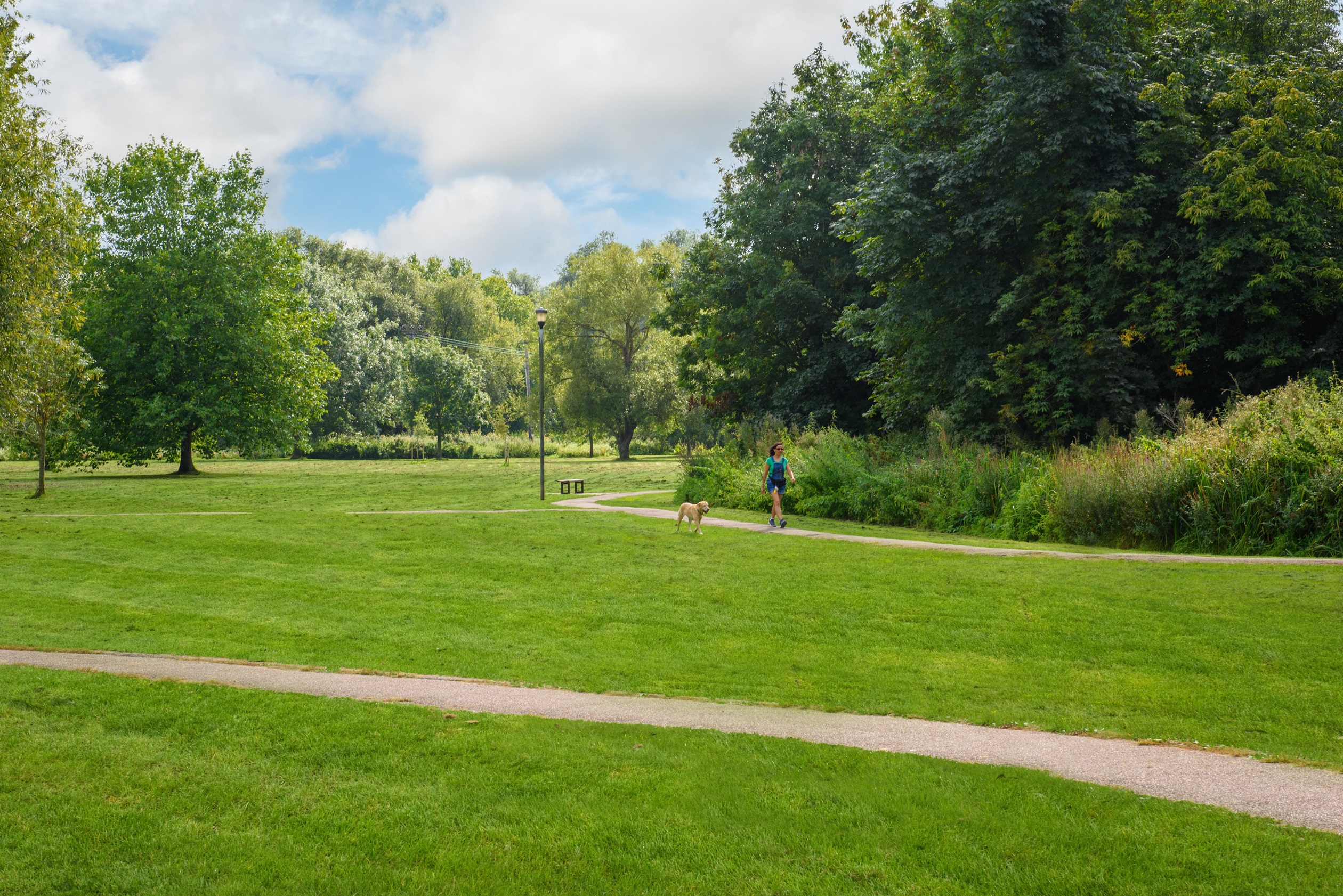 Grasslands Local Area