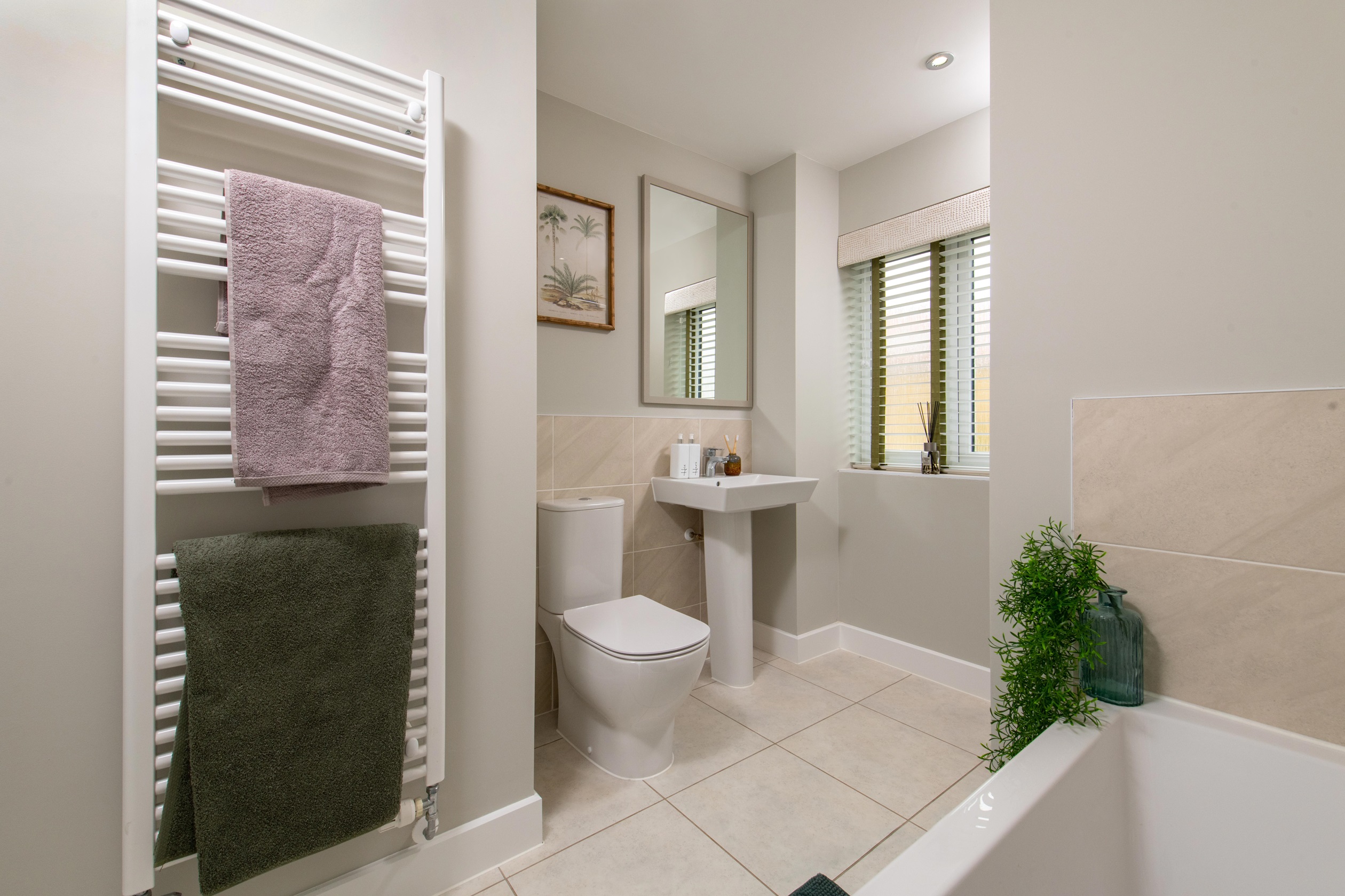 Show Home Bathroom