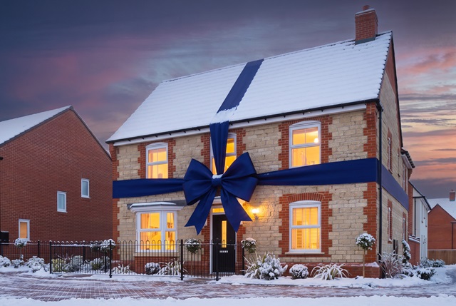 Avondale with a xmas bow