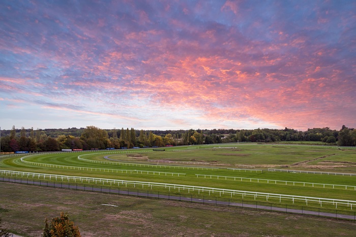 The Chase @ Newbury Racecourse