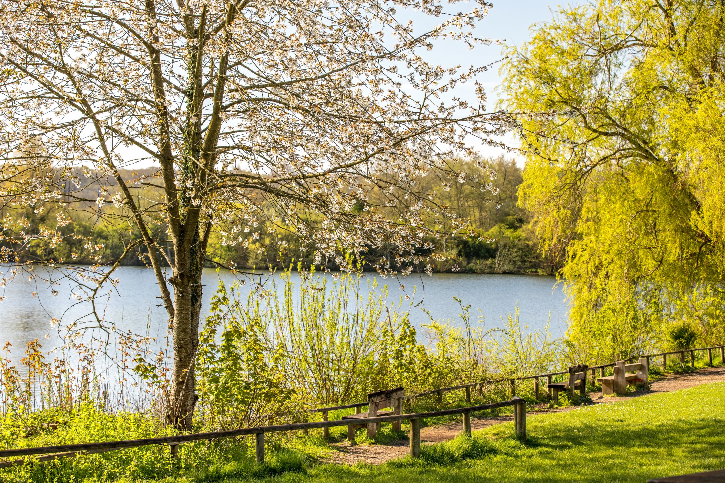 Outdoor park in Newbury,