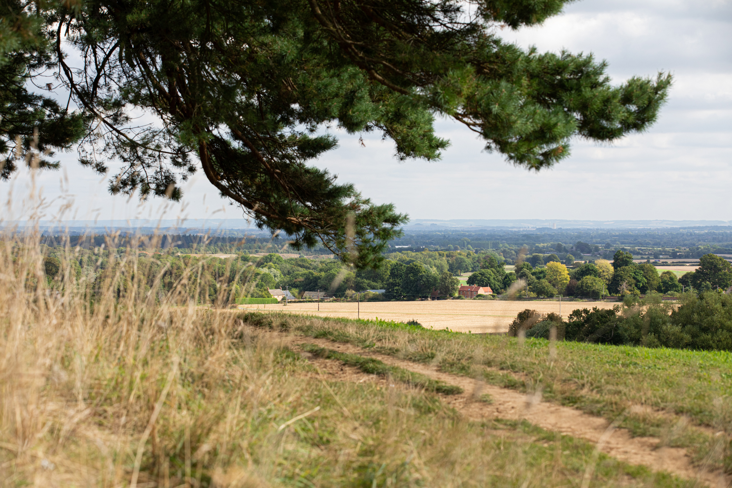 New Homes in Stanford in the Vale River Meadow David Wilson Homes