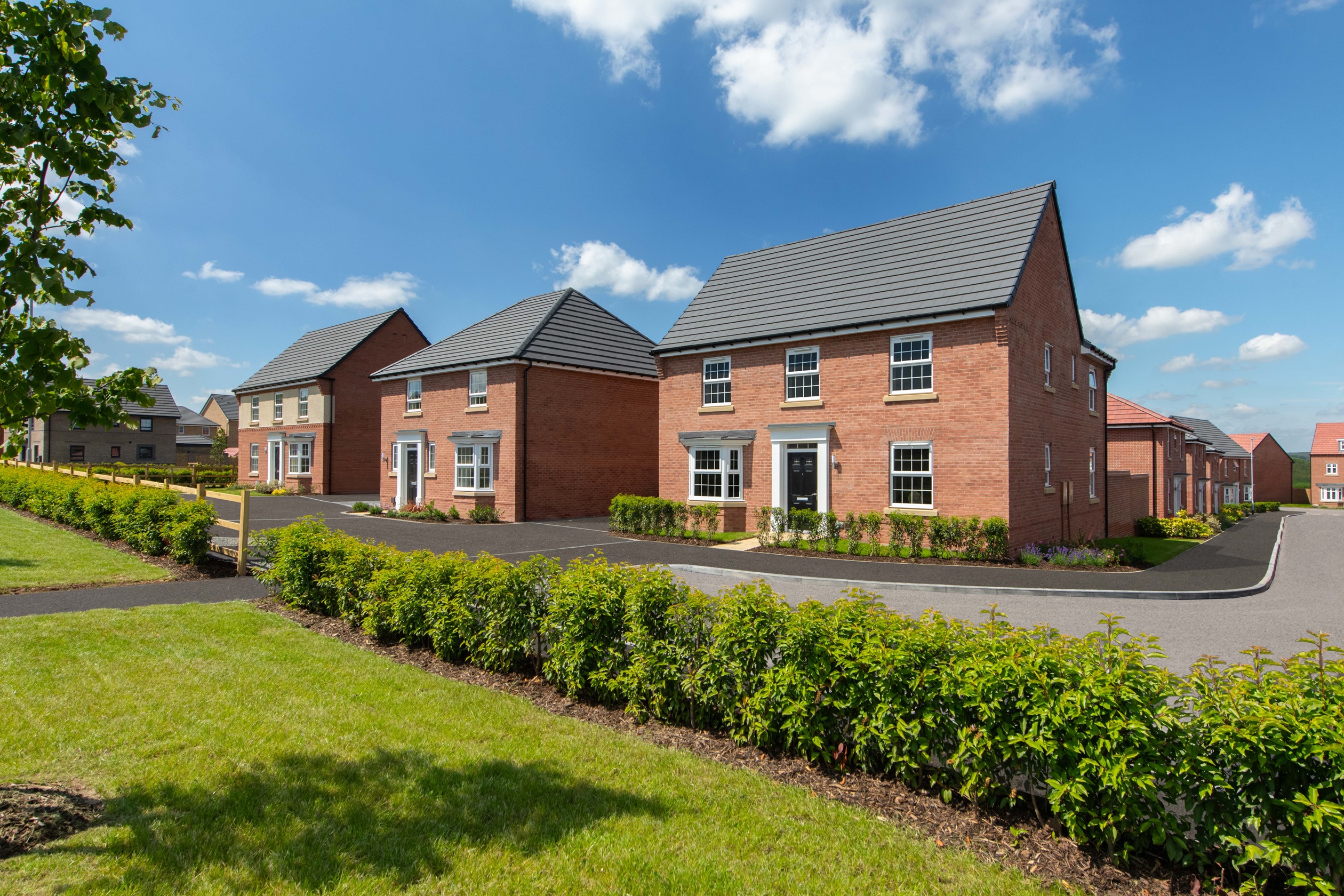 DWH EM The Hawthorns Avondale Kirkdale