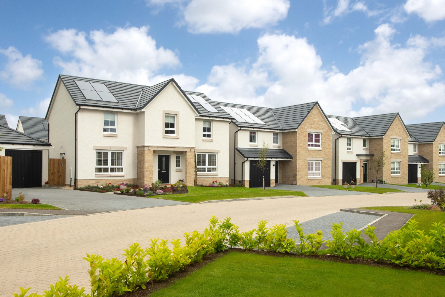 Rosewell Meadow Street Scene