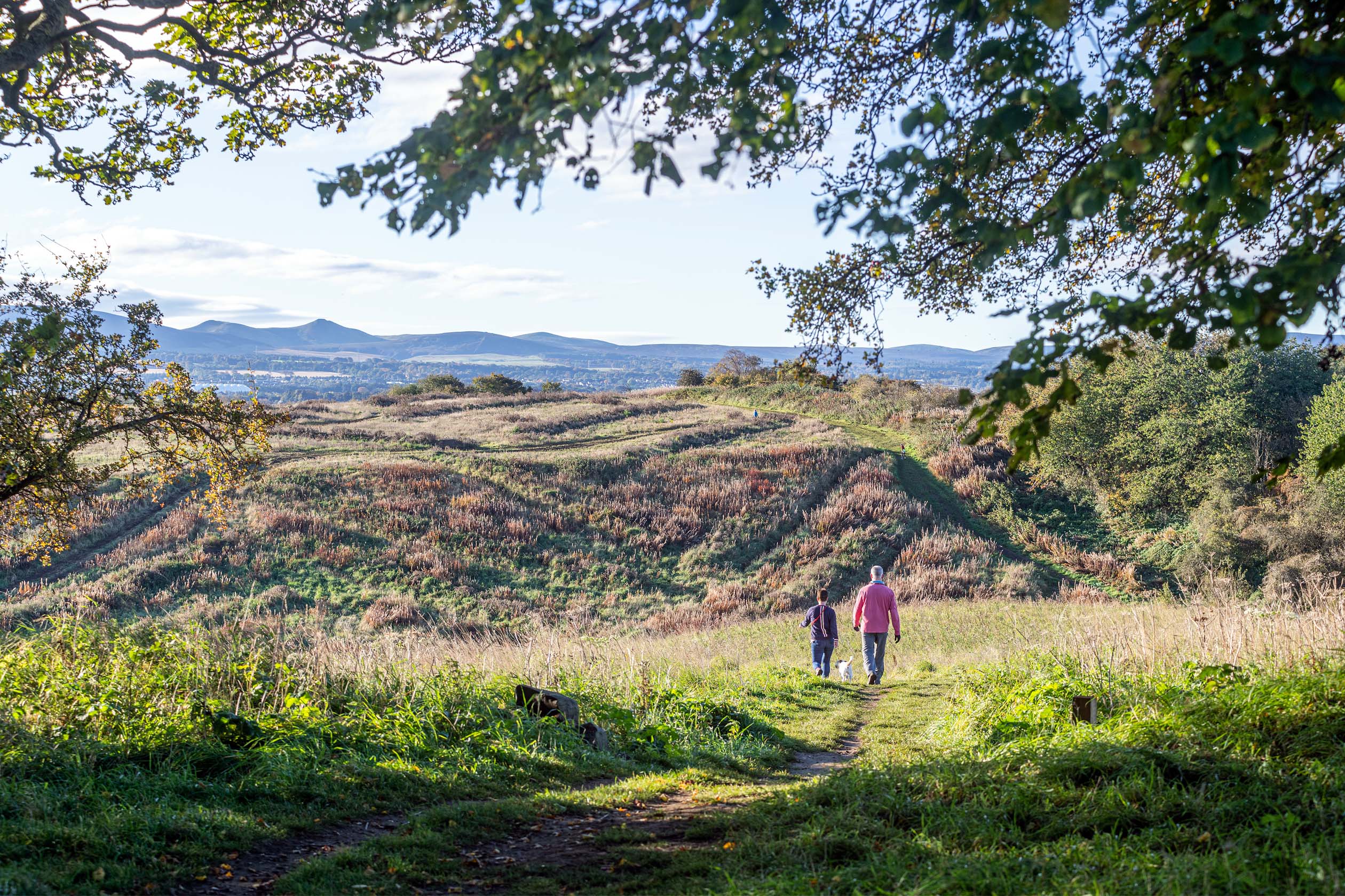 Local area image of Cammo Estate