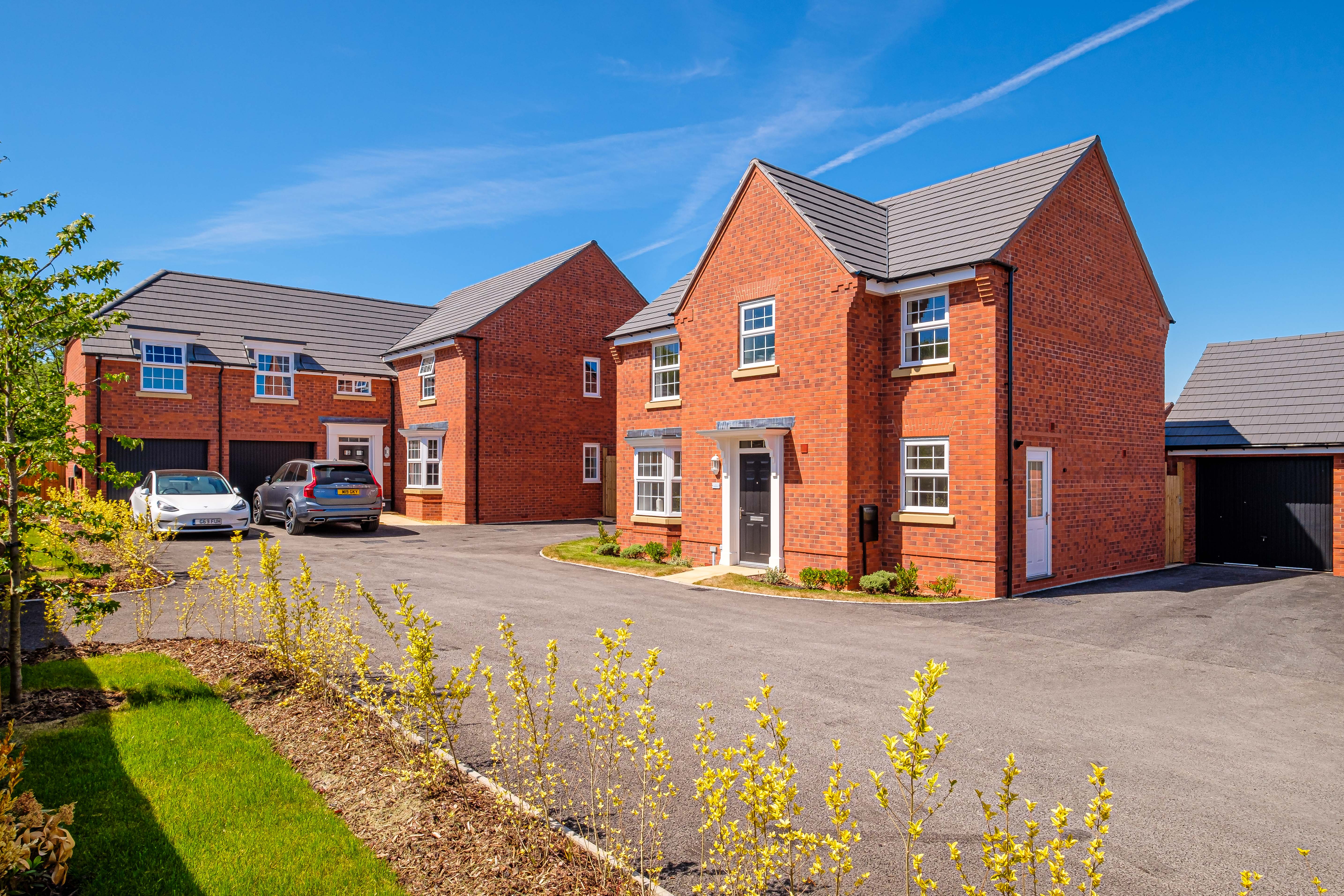 The Avondale home study 