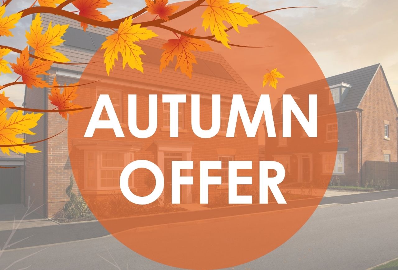 Autumn Offer