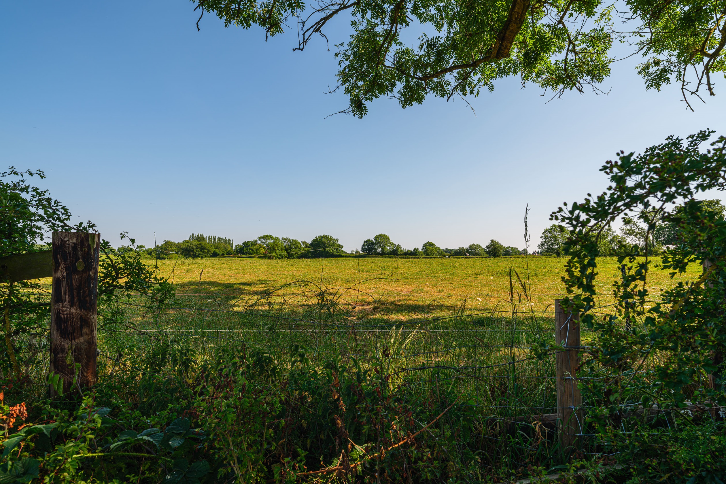 Bungalows at Olive Park