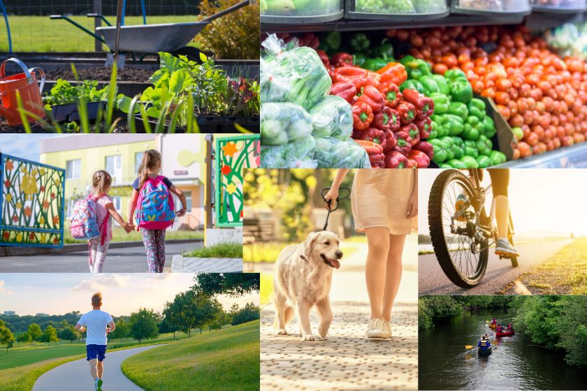 Benthall Grange masterplan