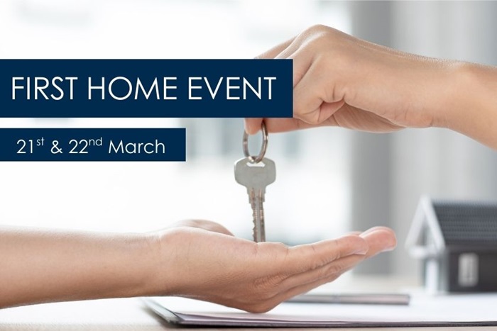 The Lapwings at Burleyfields