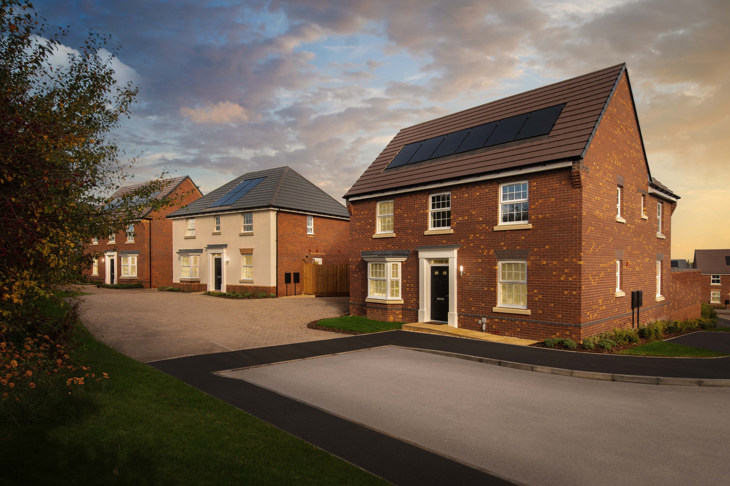 The Lapwings Dusk Photo 1