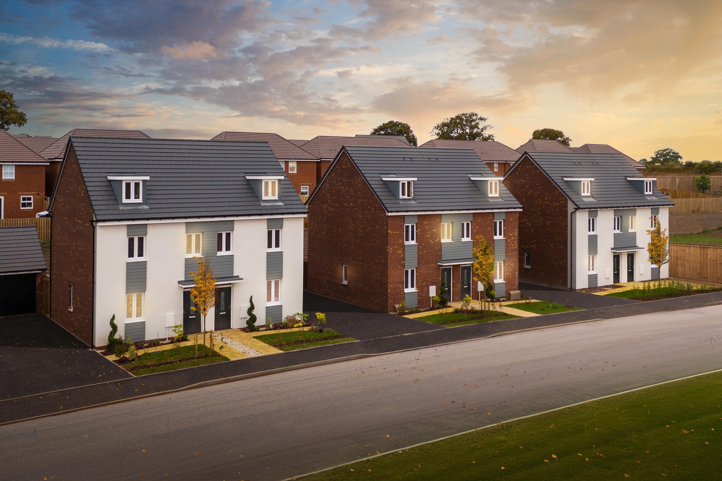 The Lapwings at dusk