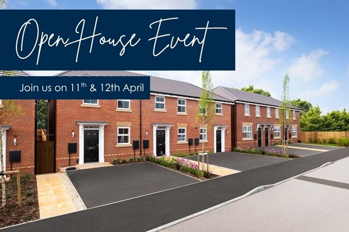 The Lapwings at Burleyfields