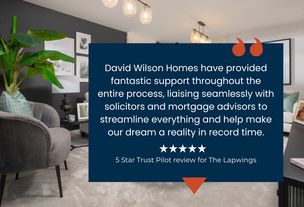 The Lapwings Trustpilot review