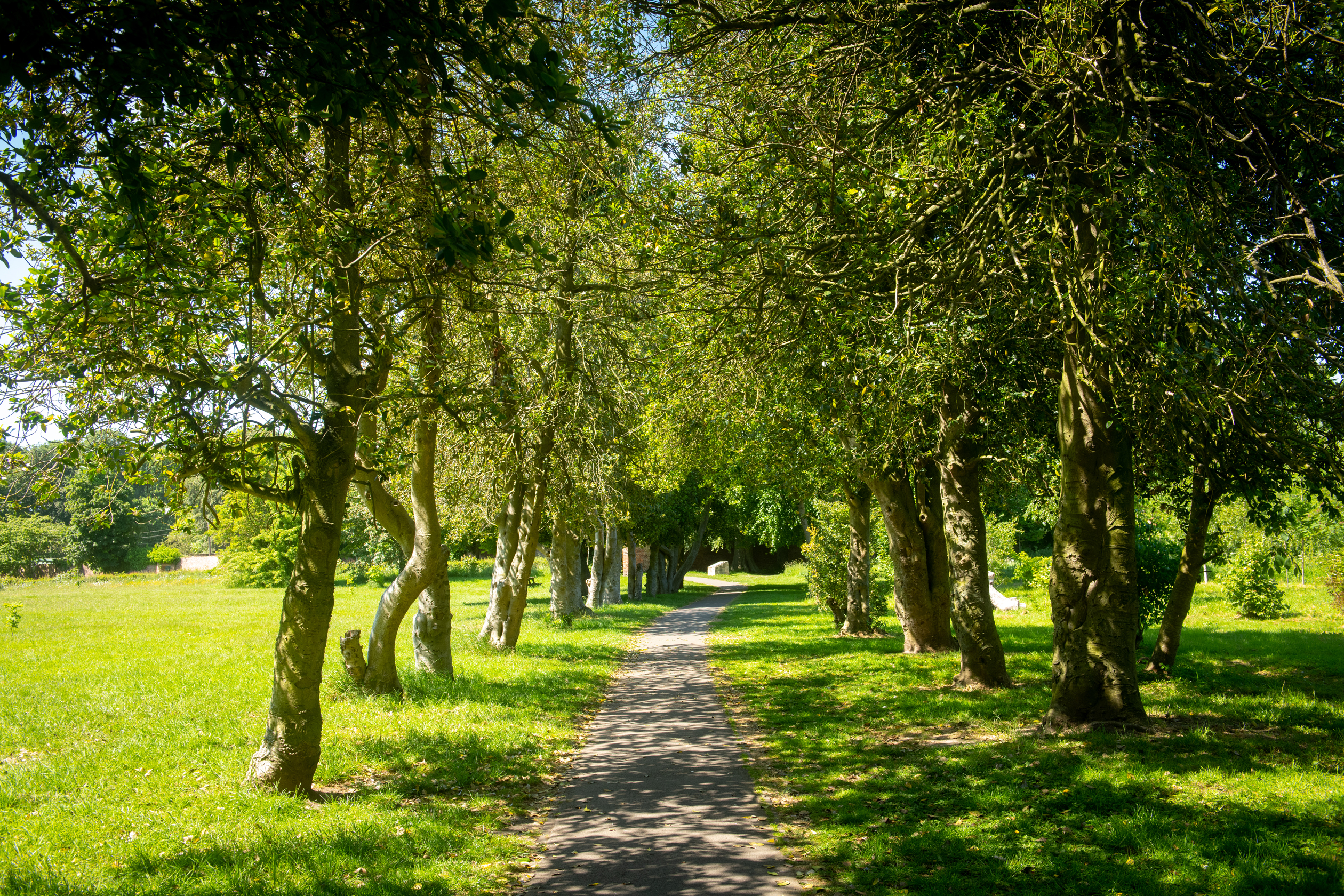 Doxford Park local area