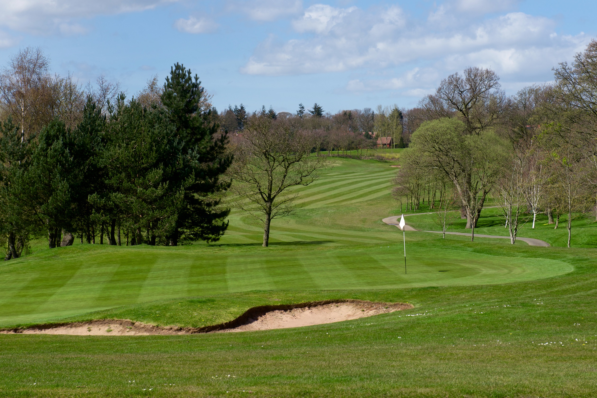 Wynyard local area - golf course